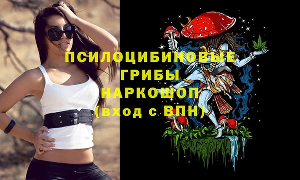 2c-b Переславль-Залесский