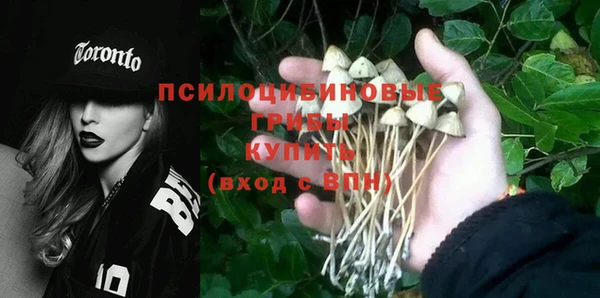 ГАЛЛЮЦИНОГЕННЫЕ ГРИБЫ Пестово