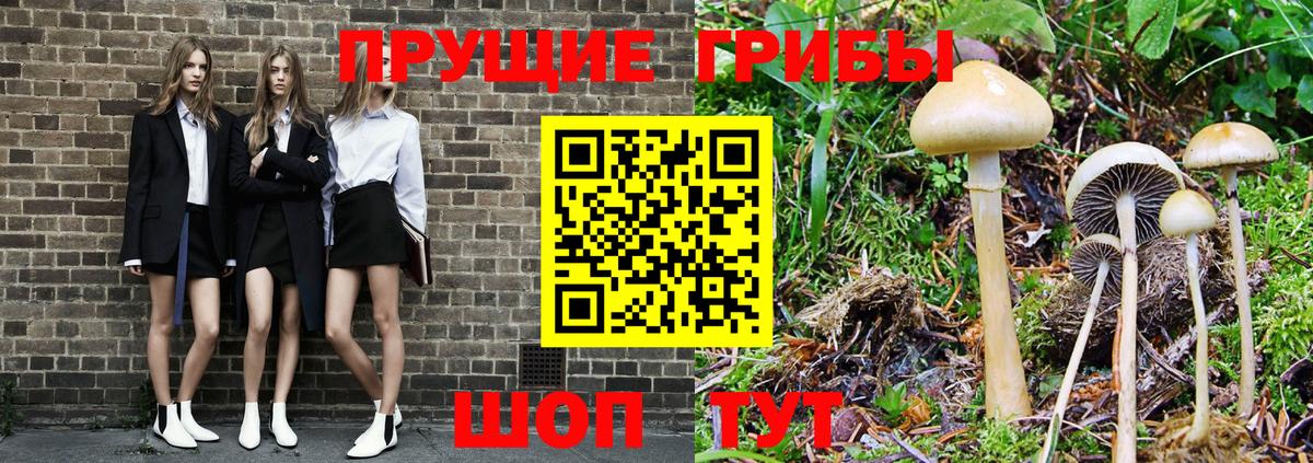 Галлюциногенные грибы GOLDEN TEACHER Ялуторовск