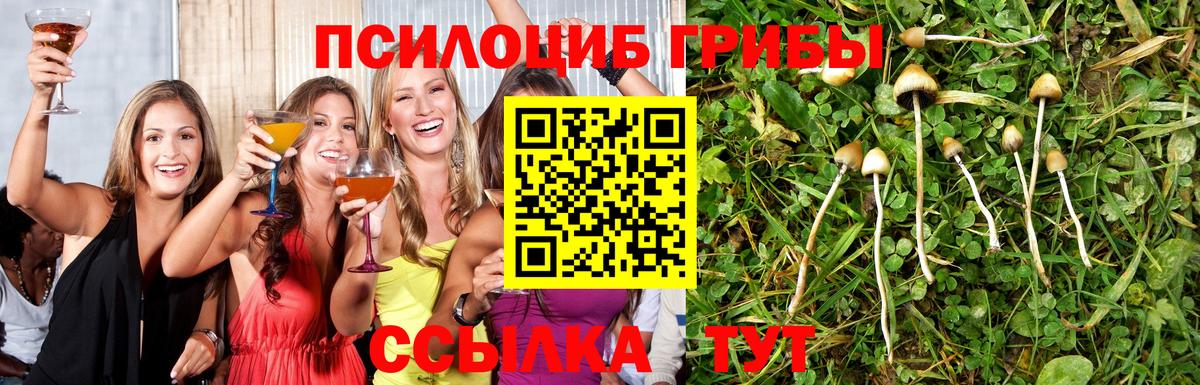где купить наркотик  Псилоцибиновые грибы GOLDEN TEACHER  Вход с VPN  Ялуторовск 